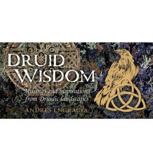 Druid Wisdom Mini Cards